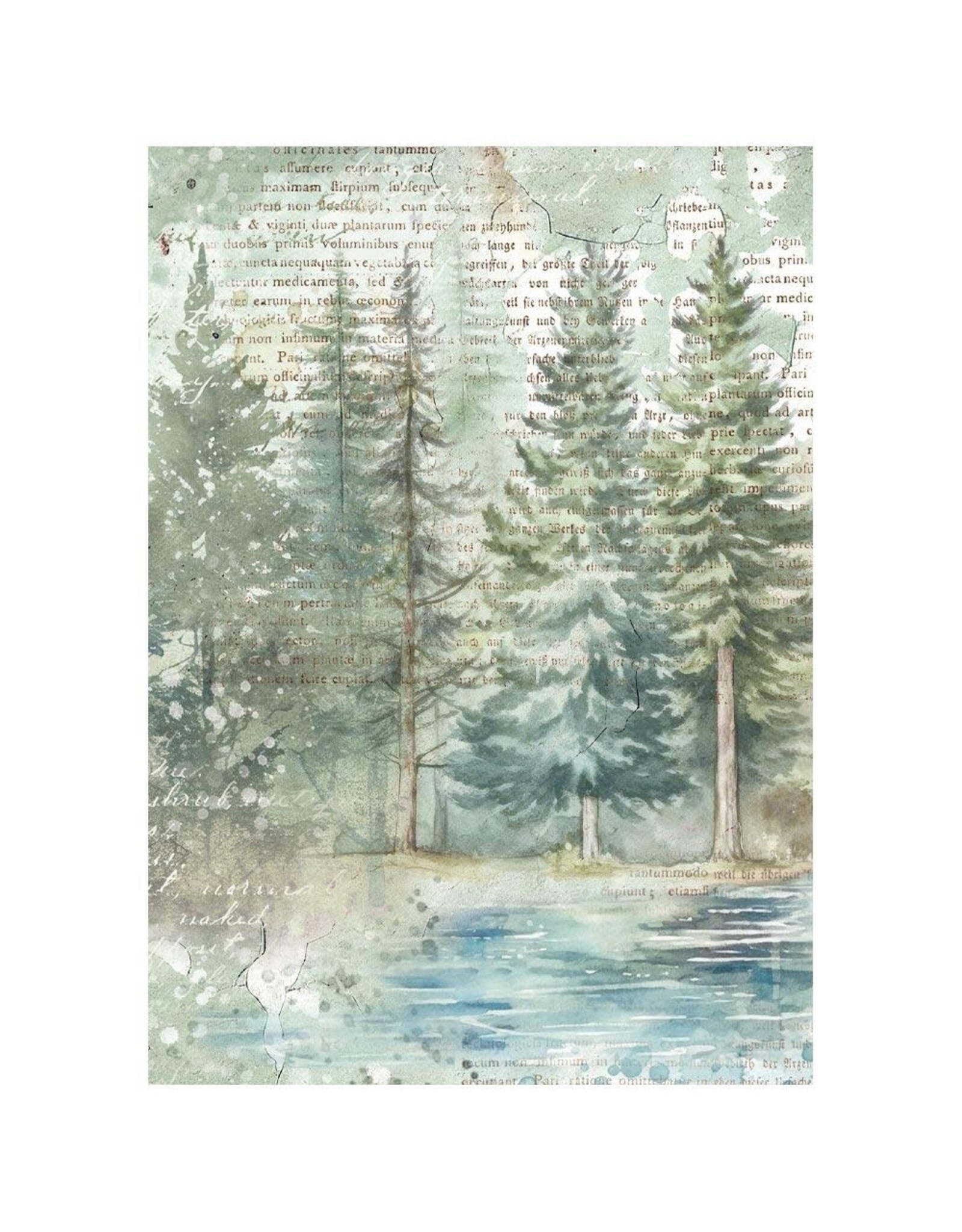 STAMPERIA STAMPERIA HERBARIUM SILVAE A6 MINI RICE PAPER 8/PK