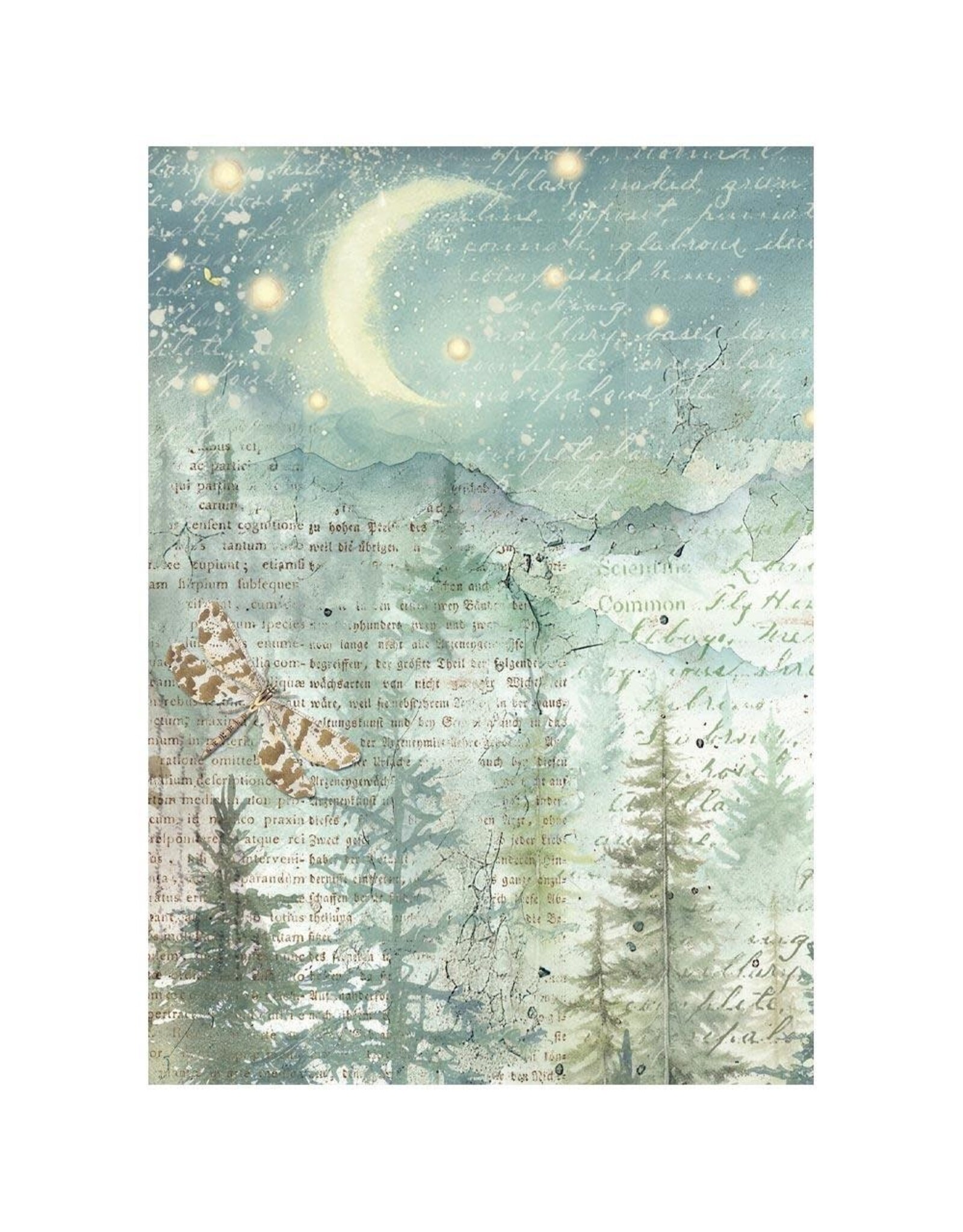 STAMPERIA STAMPERIA HERBARIUM SILVAE A6 MINI RICE PAPER 8/PK