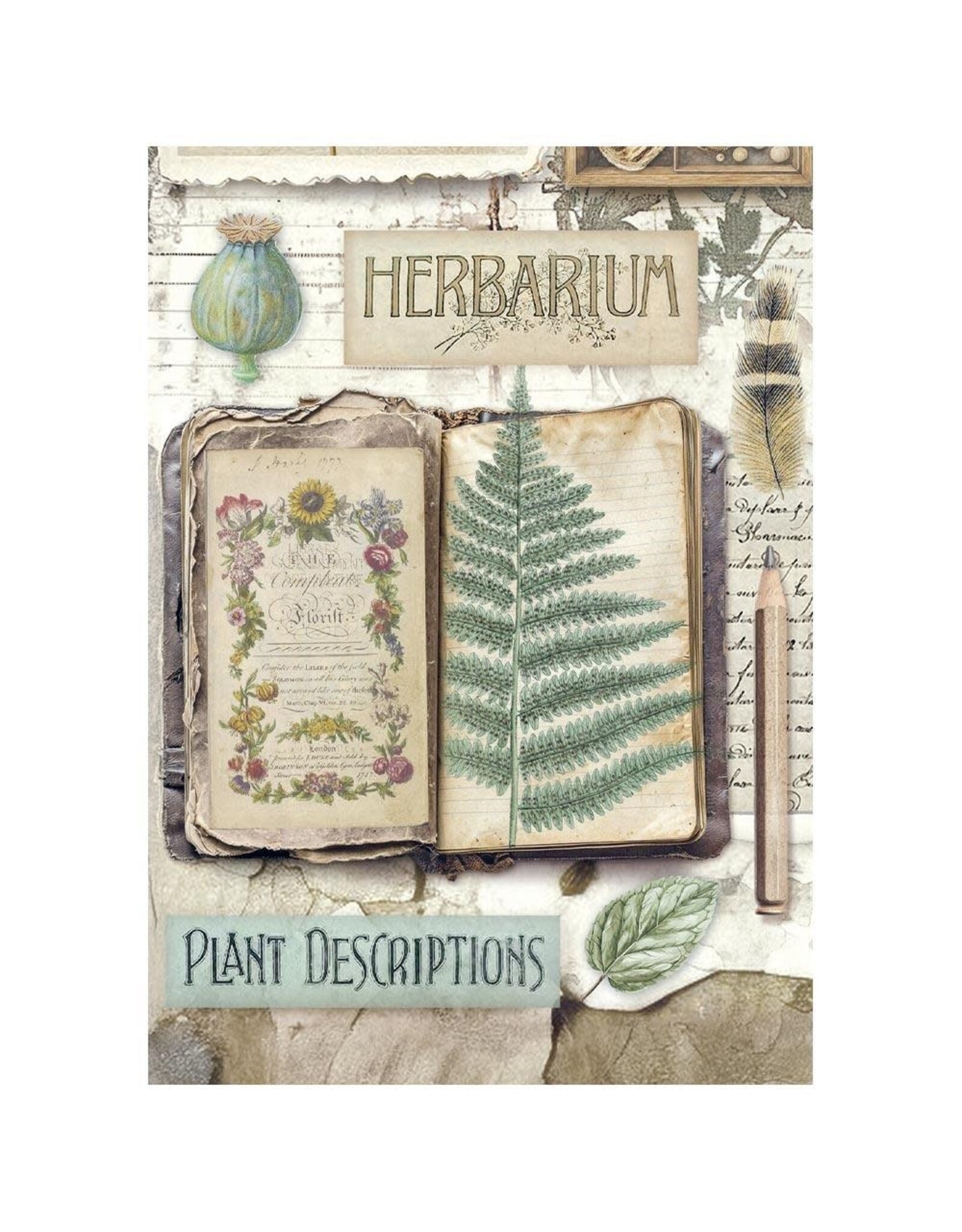 STAMPERIA STAMPERIA HERBARIUM SILVAE A6 MINI RICE PAPER 8/PK
