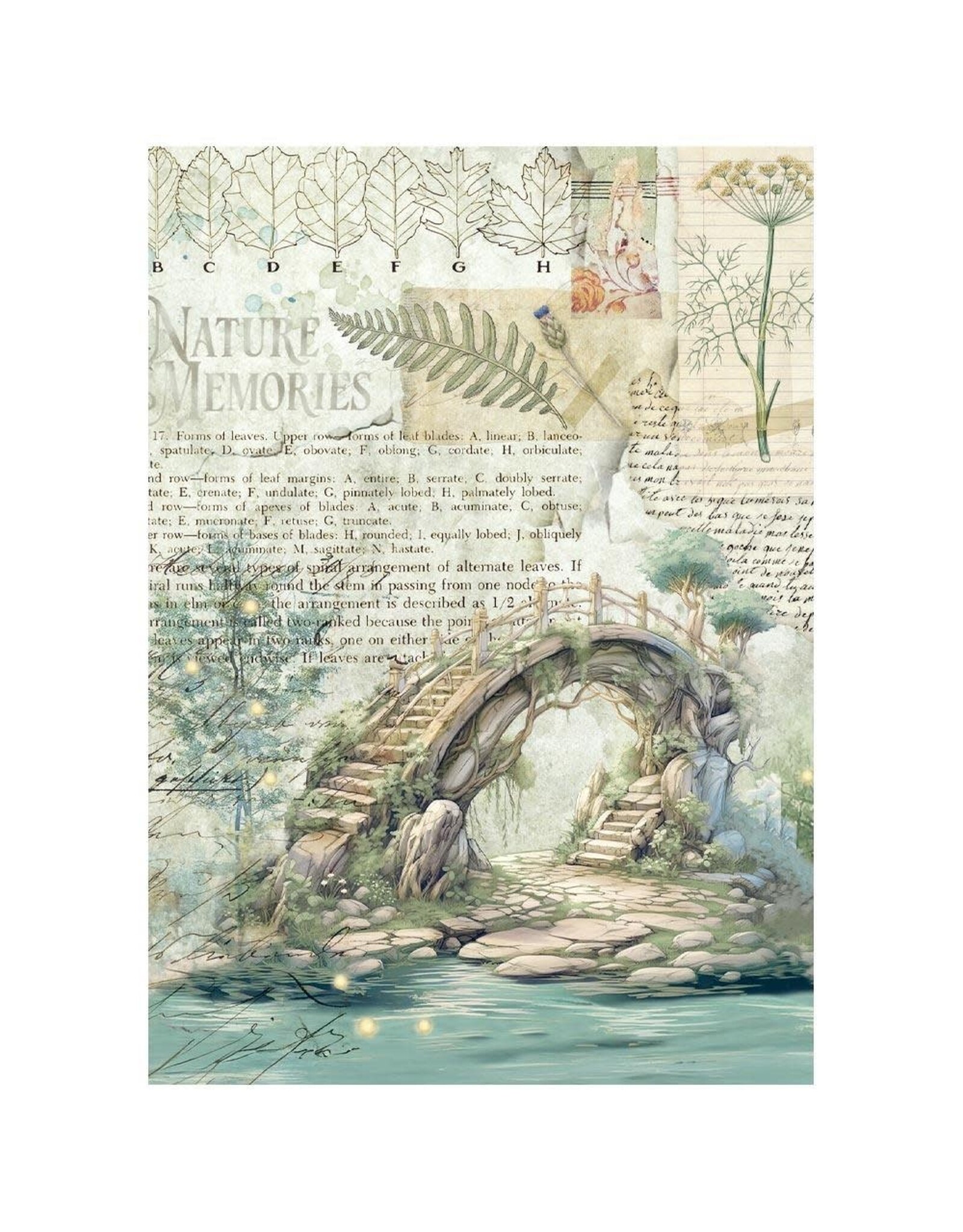 STAMPERIA STAMPERIA HERBARIUM SILVAE A6 MINI RICE PAPER 8/PK