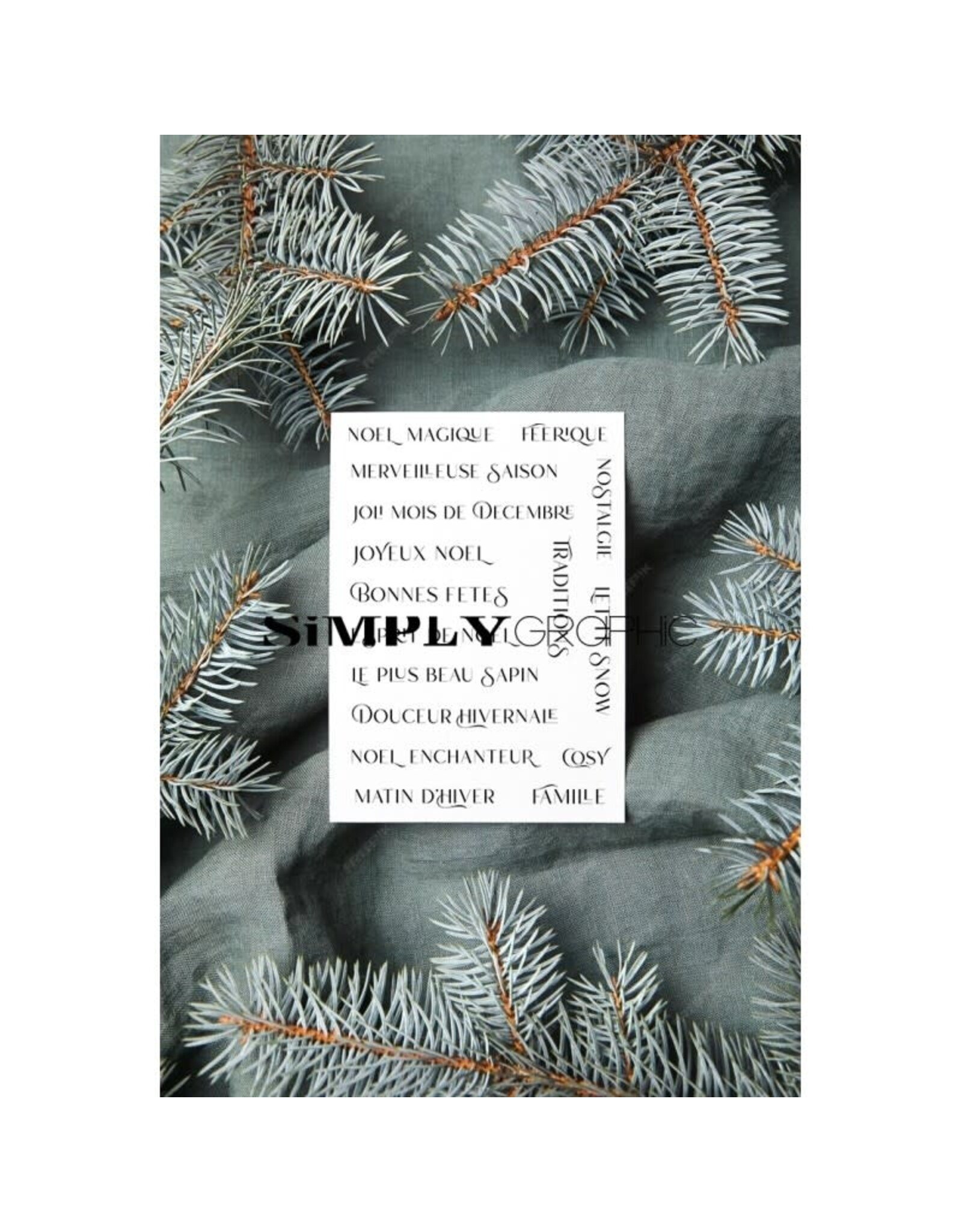 SIMPLY GRAPHIC SIMPLY GRAPHIC PLANCHE NOËL ENCHANTEUR CLEAR STAMP SET