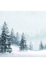 SIMPLY GRAPHIC SIMPLY GRAPHIC KIT CRÉATIF NOËL