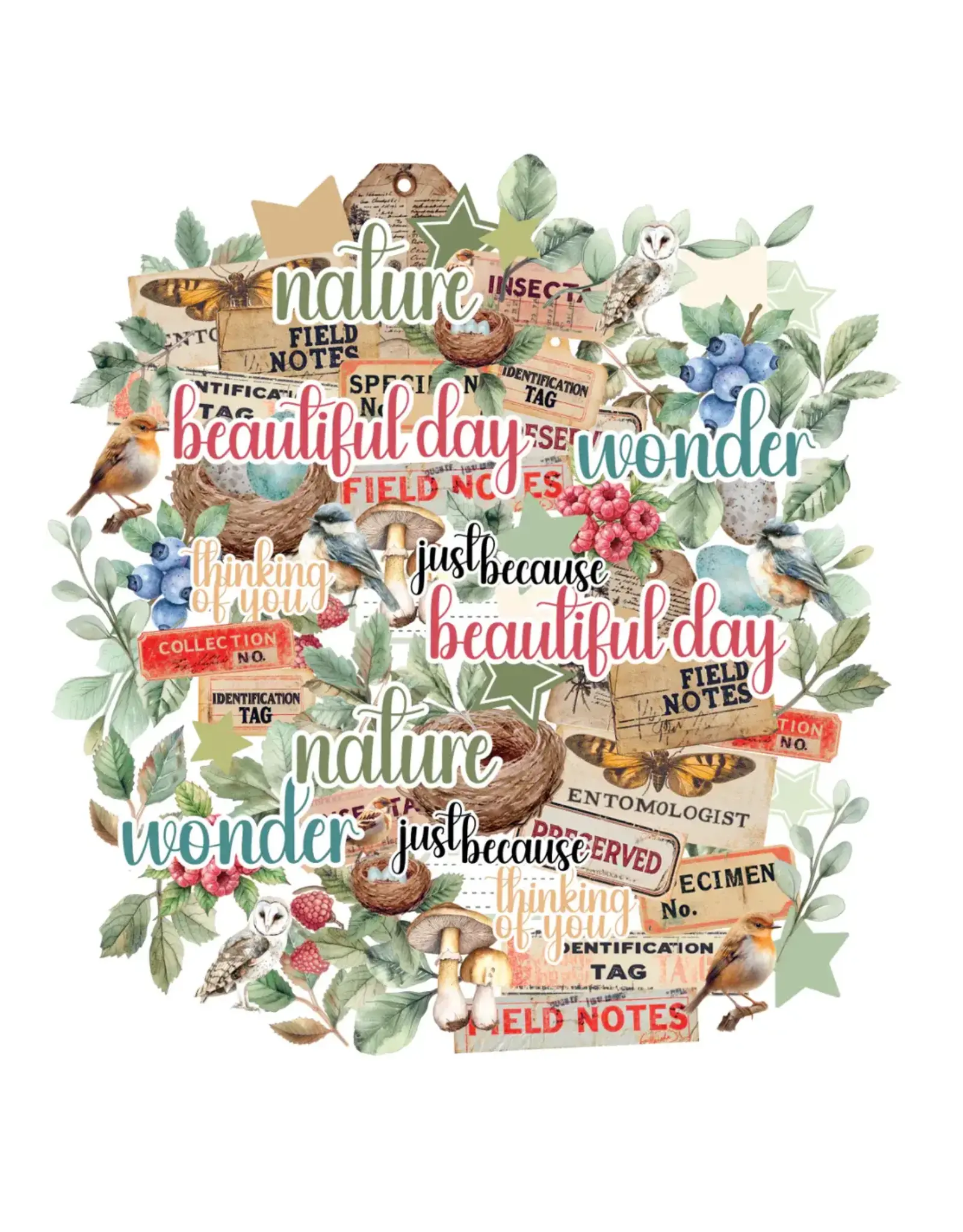 UNIQUELY CREATIVE UNIQUELY CREATIVE BOTANICAL CHRONICLES CREATIVE CUTS DIE CUTS