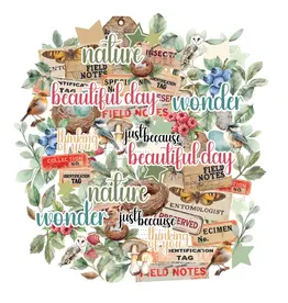 UNIQUELY CREATIVE UNIQUELY CREATIVE BOTANICAL CHRONICLES CREATIVE CUTS DIE CUTS