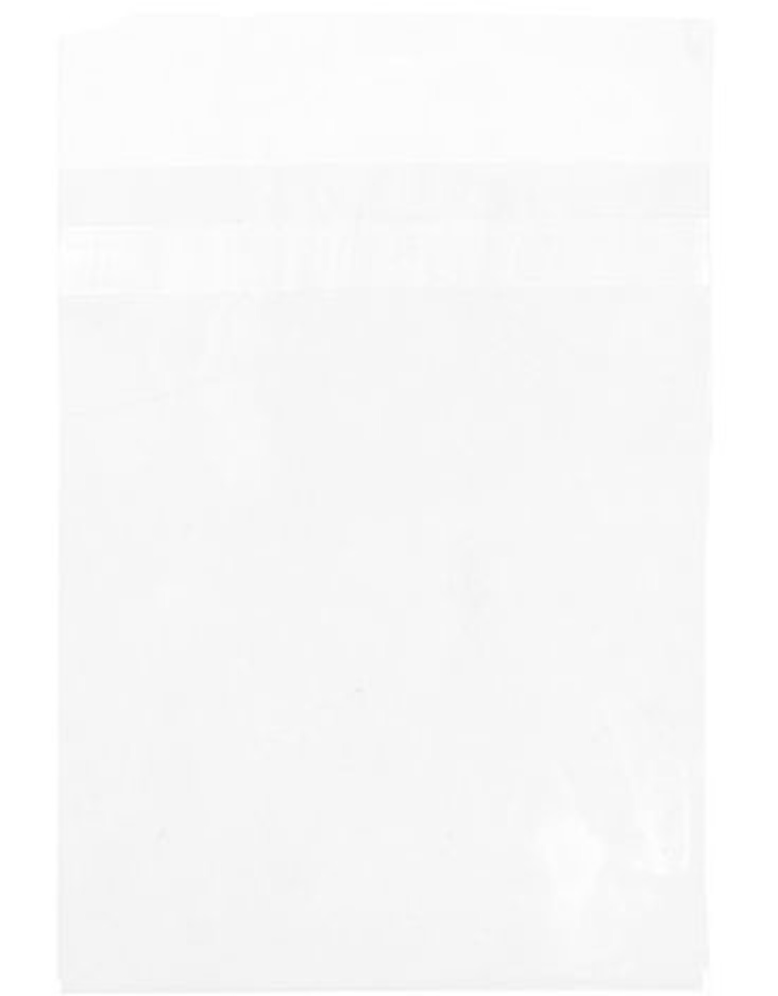 CLEAR BAGS 5.5x 7.5 100/PK