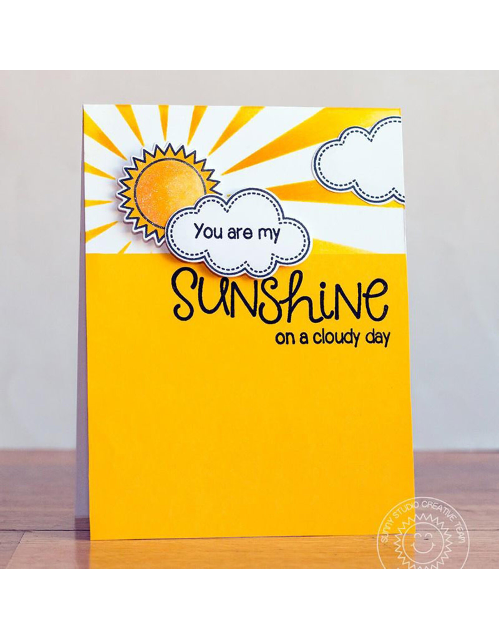 SUNNY STUDIO STAMPS SUNNY STUDIO SUNNY SENTIMENTS ACRYLIC STAMP SET
