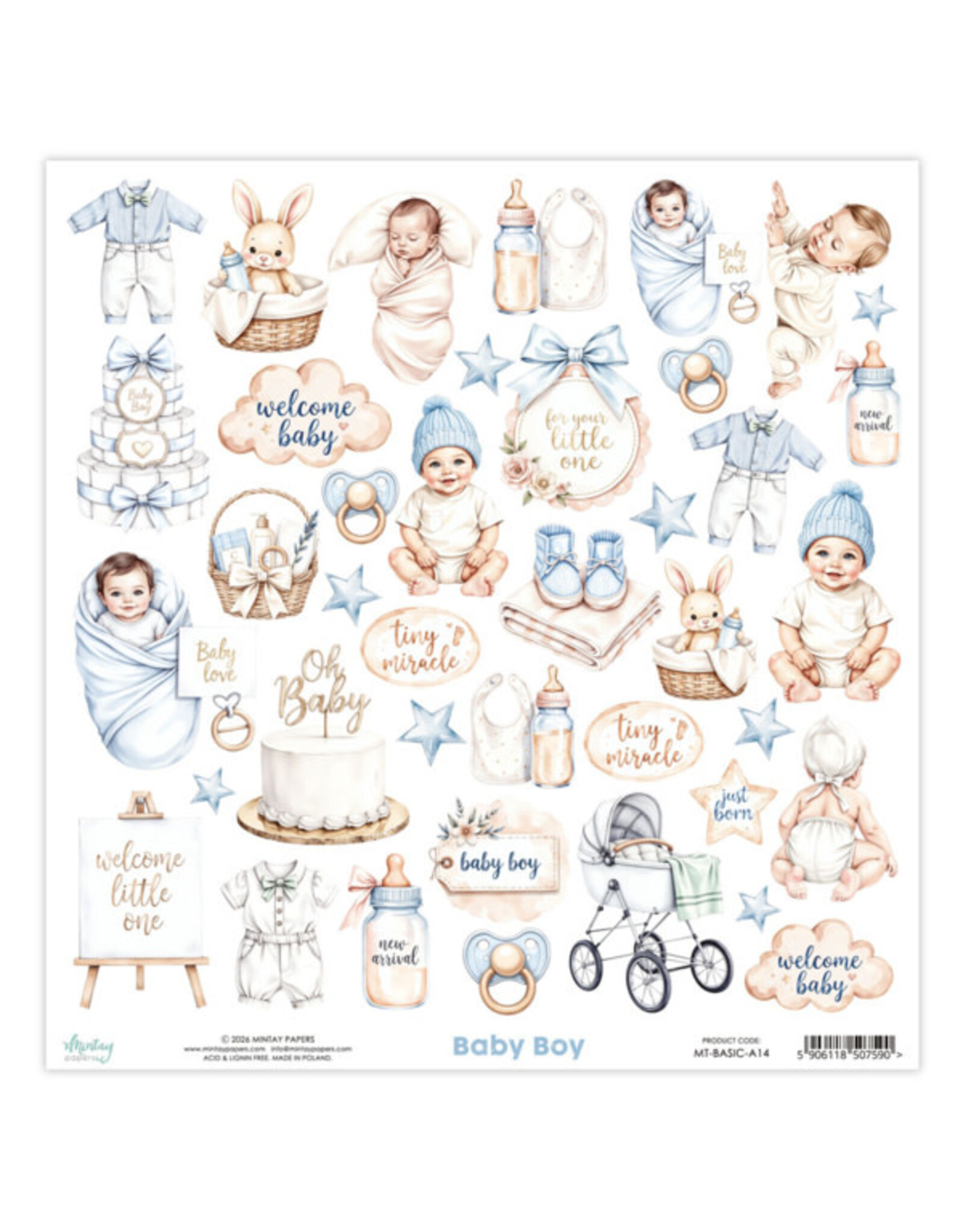 MINTAY MINTAY BABY BOY BASIC ELEMENTS 12x12 CARDSTOCK