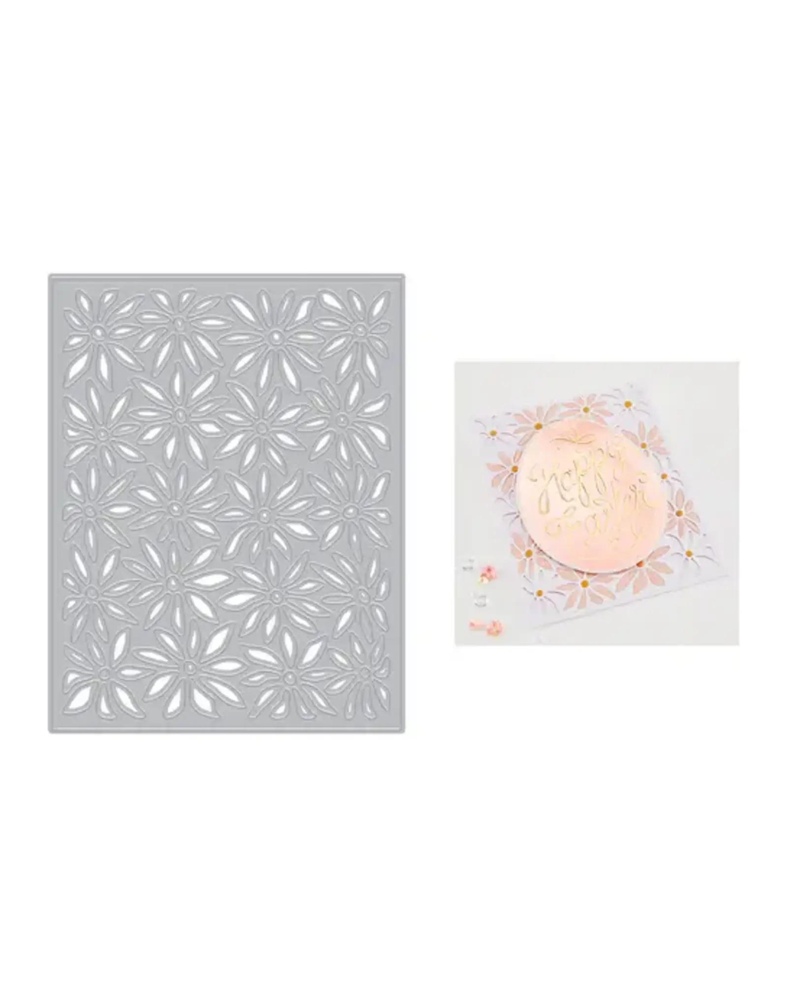 HERO ARTS HERO ARTS DAISY COVER PLATE DIE