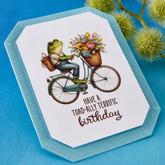 SPELLBINDERS SPELLBINDERS LITTLE LEAPS RUB-ON TRANSFERS