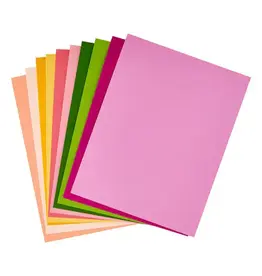 SPELLBINDERS SPELLBINDERS BLOOMS ASSORTMENT COLORWHEEL CARDSTOCK 8.5x11 10/PK