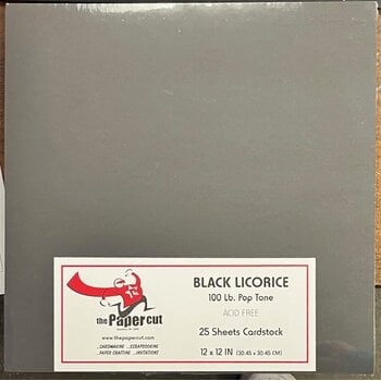 PAPER CUT THE PAPER CUT 100 LB POP TONE BLACK LICORICE 12x12 CARDSTOCK 25 SHEETS