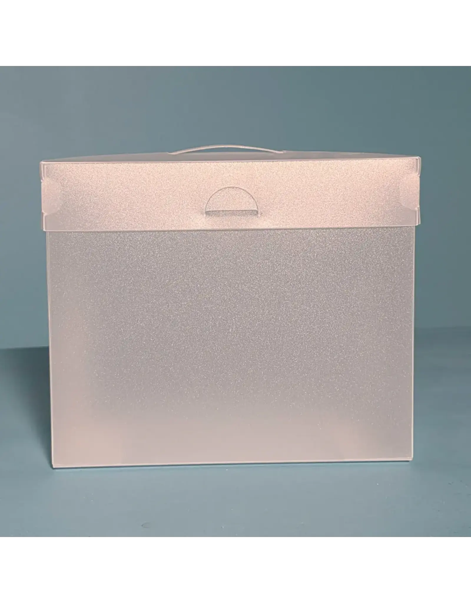 THE ORGANIZED OPTION THE ORGANIZED OPTION 5x7 FILE MASTER STORAGE BOX WITH 5 POCKETS