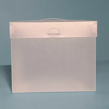 THE ORGANIZED OPTION THE ORGANIZED OPTION 5x7 FILE MASTER STORAGE BOX WITH 5 POCKETS