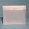 THE ORGANIZED OPTION THE ORGANIZED OPTION 5x7 FILE MASTER STORAGE BOX WITH 5 POCKETS
