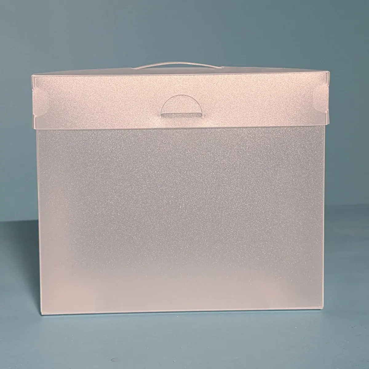 THE ORGANIZED OPTION THE ORGANIZED OPTION 5x7 FILE MASTER STORAGE BOX WITH 5 POCKETS