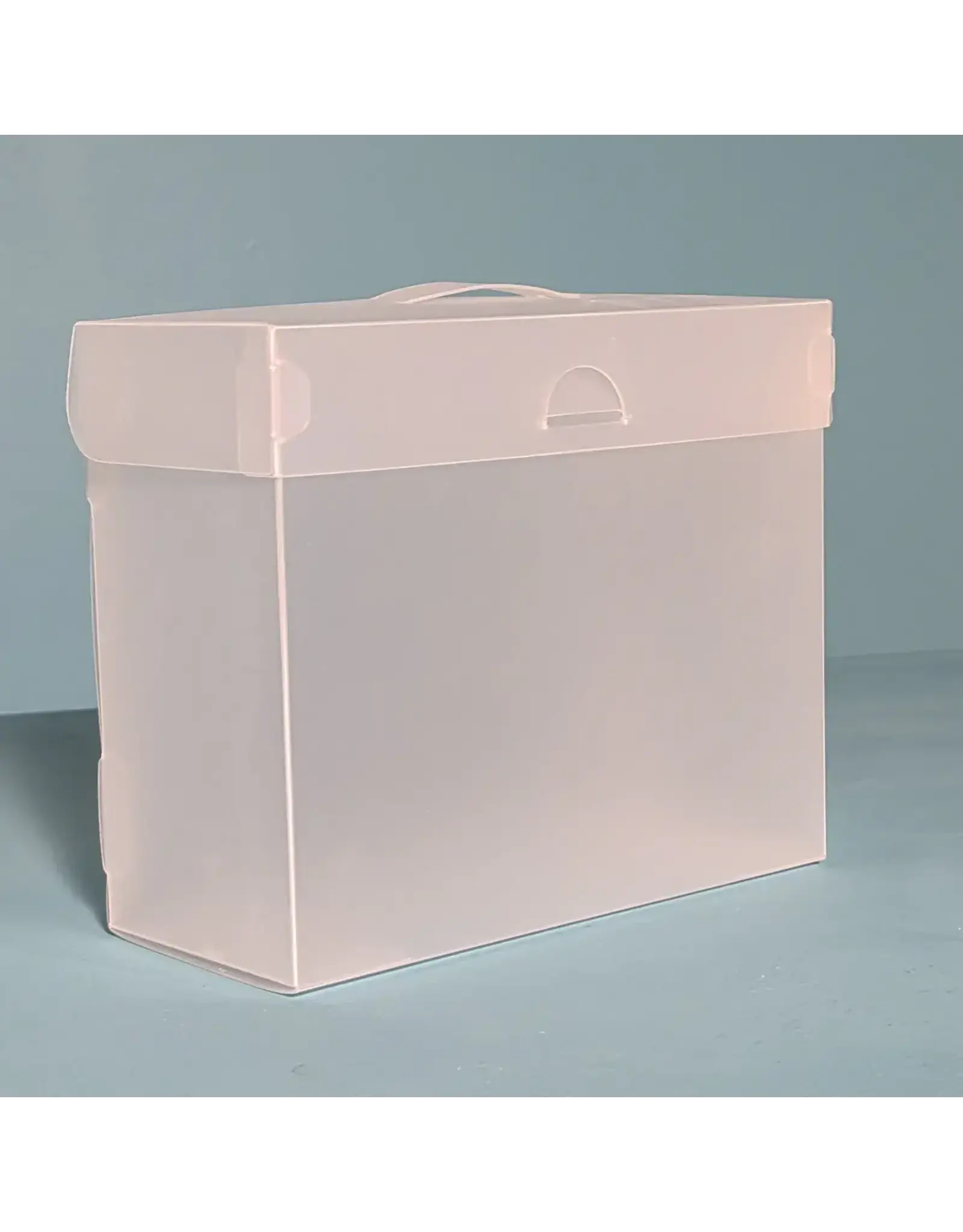 THE ORGANIZED OPTION THE ORGANIZED OPTION 5x7 FILE MASTER STORAGE BOX WITH 5 POCKETS