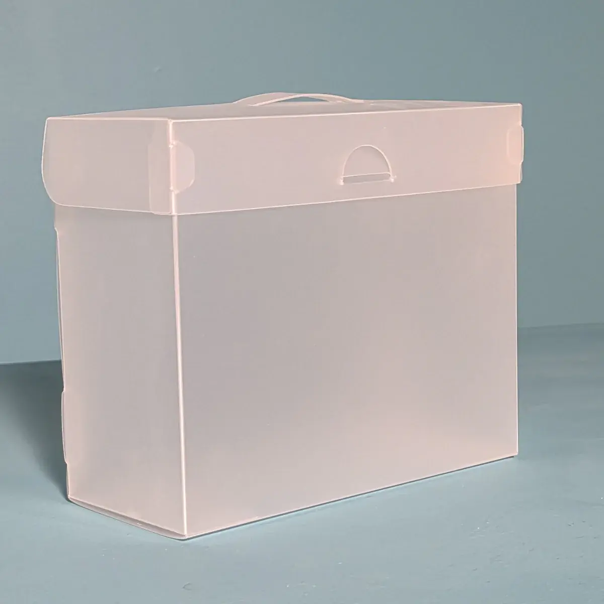 THE ORGANIZED OPTION THE ORGANIZED OPTION 5x7 FILE MASTER STORAGE BOX WITH 5 POCKETS