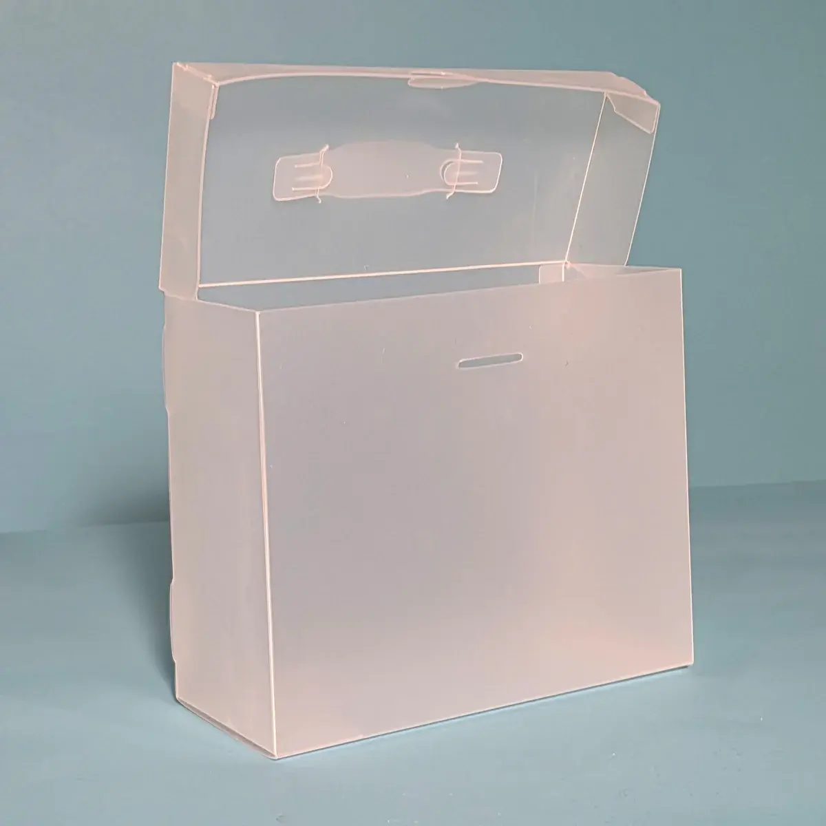 THE ORGANIZED OPTION THE ORGANIZED OPTION 5x7 FILE MASTER STORAGE BOX WITH 5 POCKETS