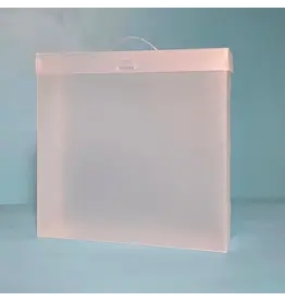 THE ORGANIZED OPTION THE ORGANIZED OPTION 12x12 FILE MASTER STORAGE BOX WITH 5 POCKETS