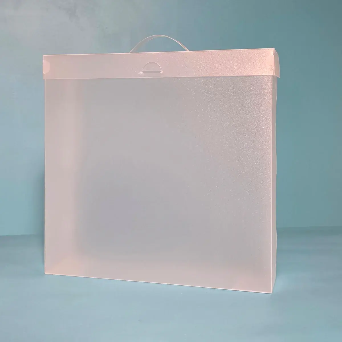 THE ORGANIZED OPTION THE ORGANIZED OPTION 12x12 FILE MASTER STORAGE BOX WITH 5 POCKETS