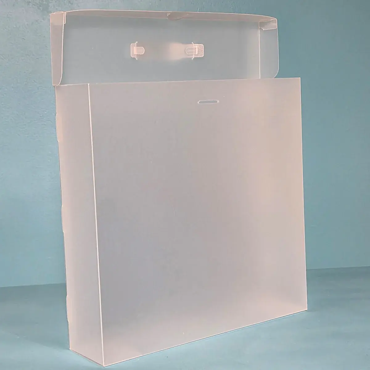 THE ORGANIZED OPTION THE ORGANIZED OPTION 12x12 FILE MASTER STORAGE BOX WITH 5 POCKETS