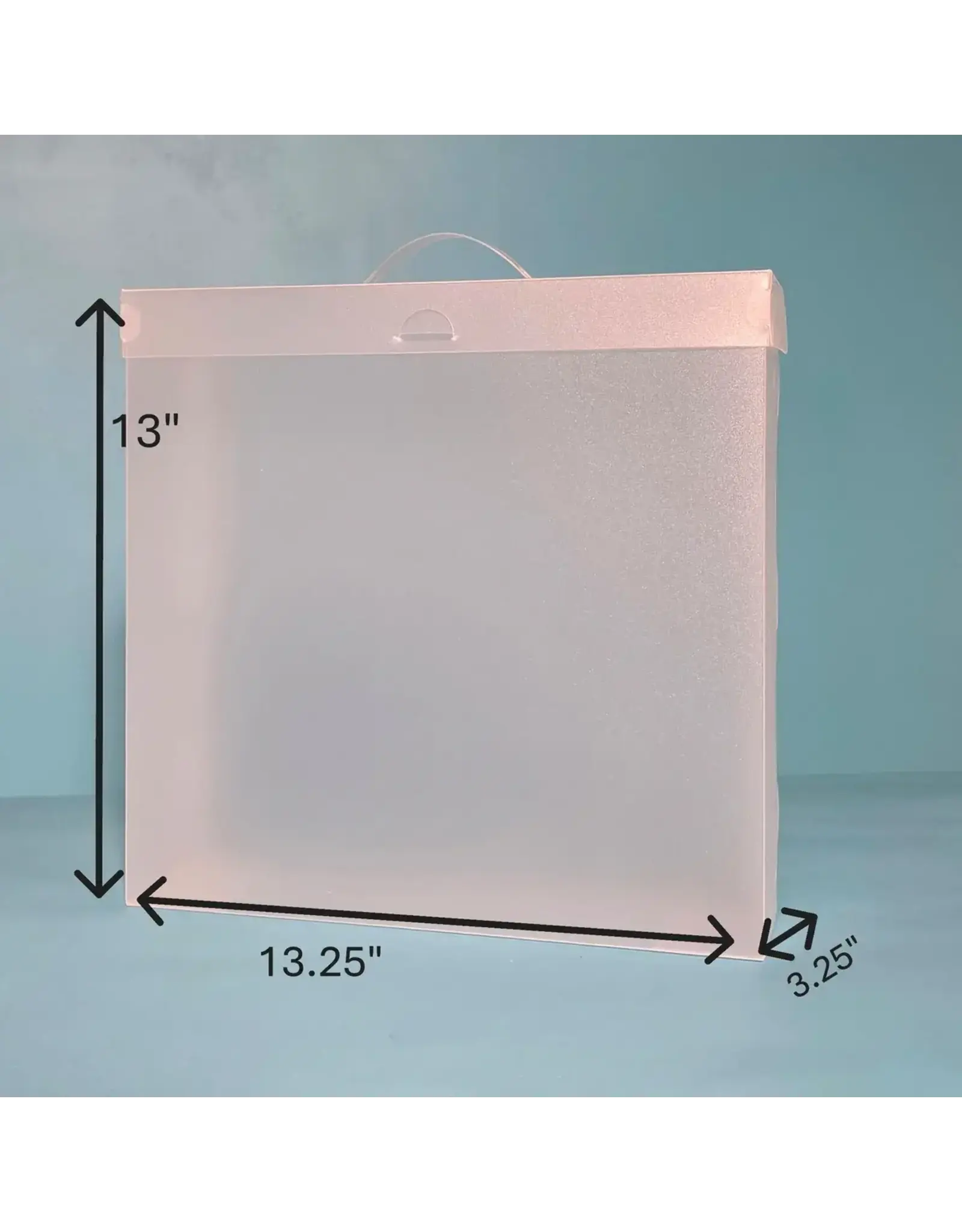 THE ORGANIZED OPTION THE ORGANIZED OPTION 12x12 FILE MASTER STORAGE BOX WITH 5 POCKETS