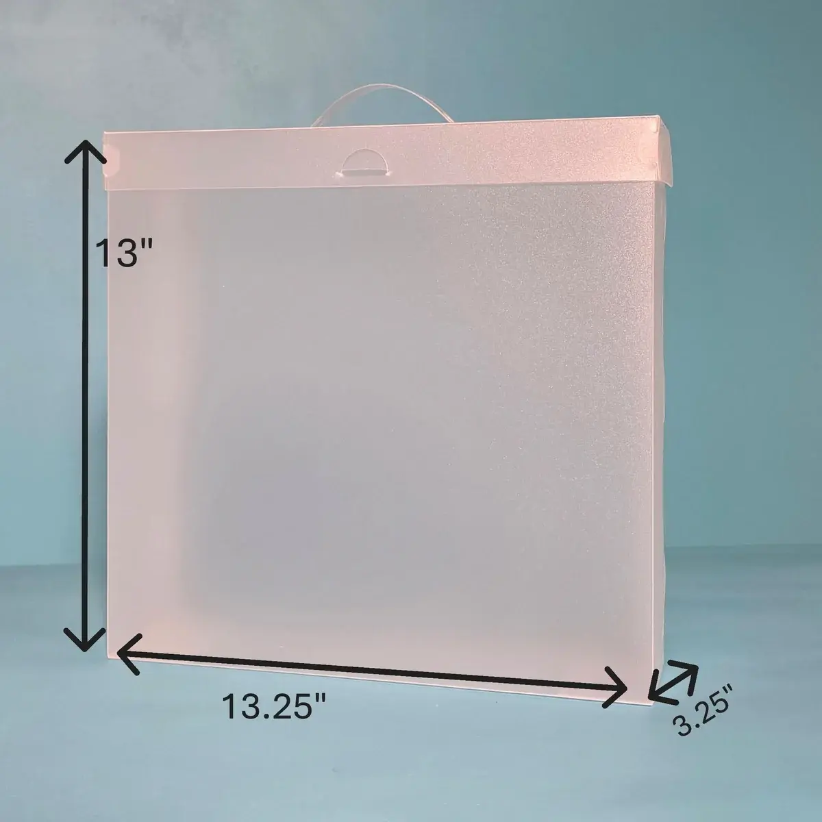 THE ORGANIZED OPTION THE ORGANIZED OPTION 12x12 FILE MASTER STORAGE BOX WITH 5 POCKETS