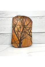 CRAFTERS WORKSHOP THE CRAFTER'S WORKSHOP BRANCHES REVERSED 6x6 STENCIL