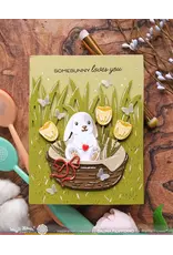 WAFFLE FLOWER WAFFLE FLOWER TALL GRASS DIE