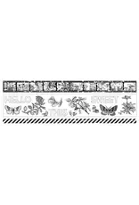 ARDEN CREATIVE STUDIO ARDEN CREATIVE STUDIO FIELD NOTES PET TAPE