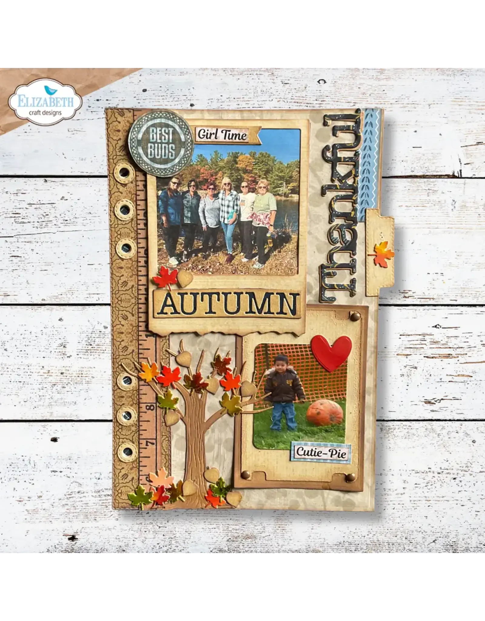 ELIZABETH CRAFT DESIGNS ELIZABETH CRAFT DESIGNS EVERYDAY MEMORIES DELIGHTFUL DISCOVERY SEASONAL TREES DIE SET