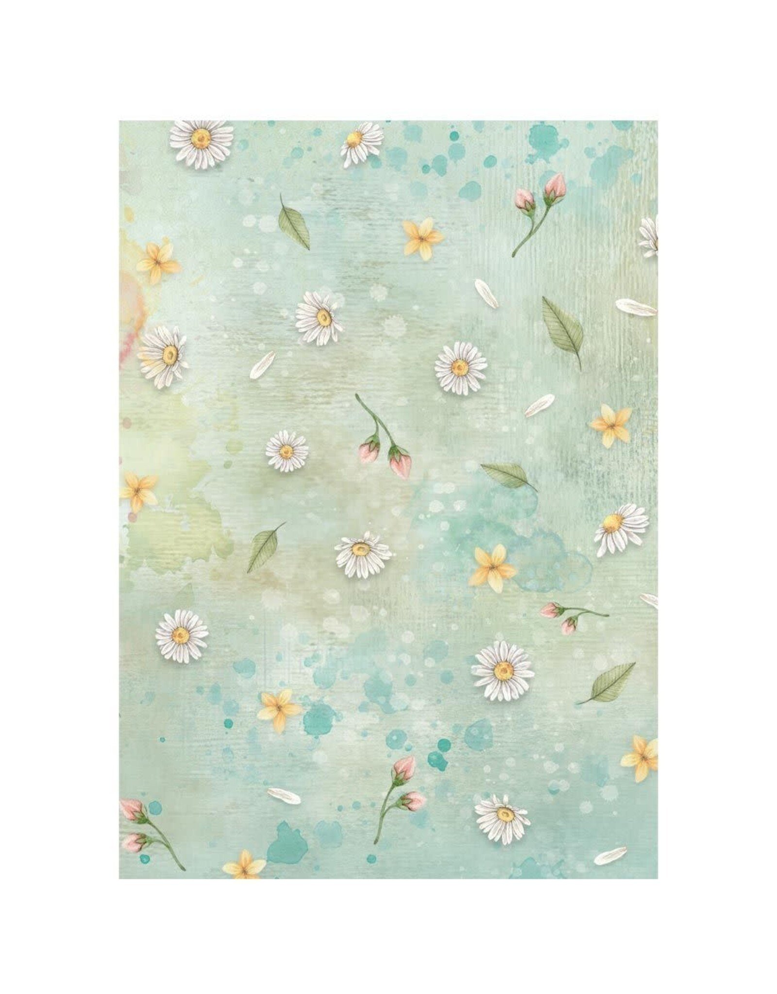 STAMPERIA STAMPERIA DAISY ART ASSORTED A6 RICE PAPER DECOUPAGE BACKGROUNDS 10.5X14.8CM 8/PK