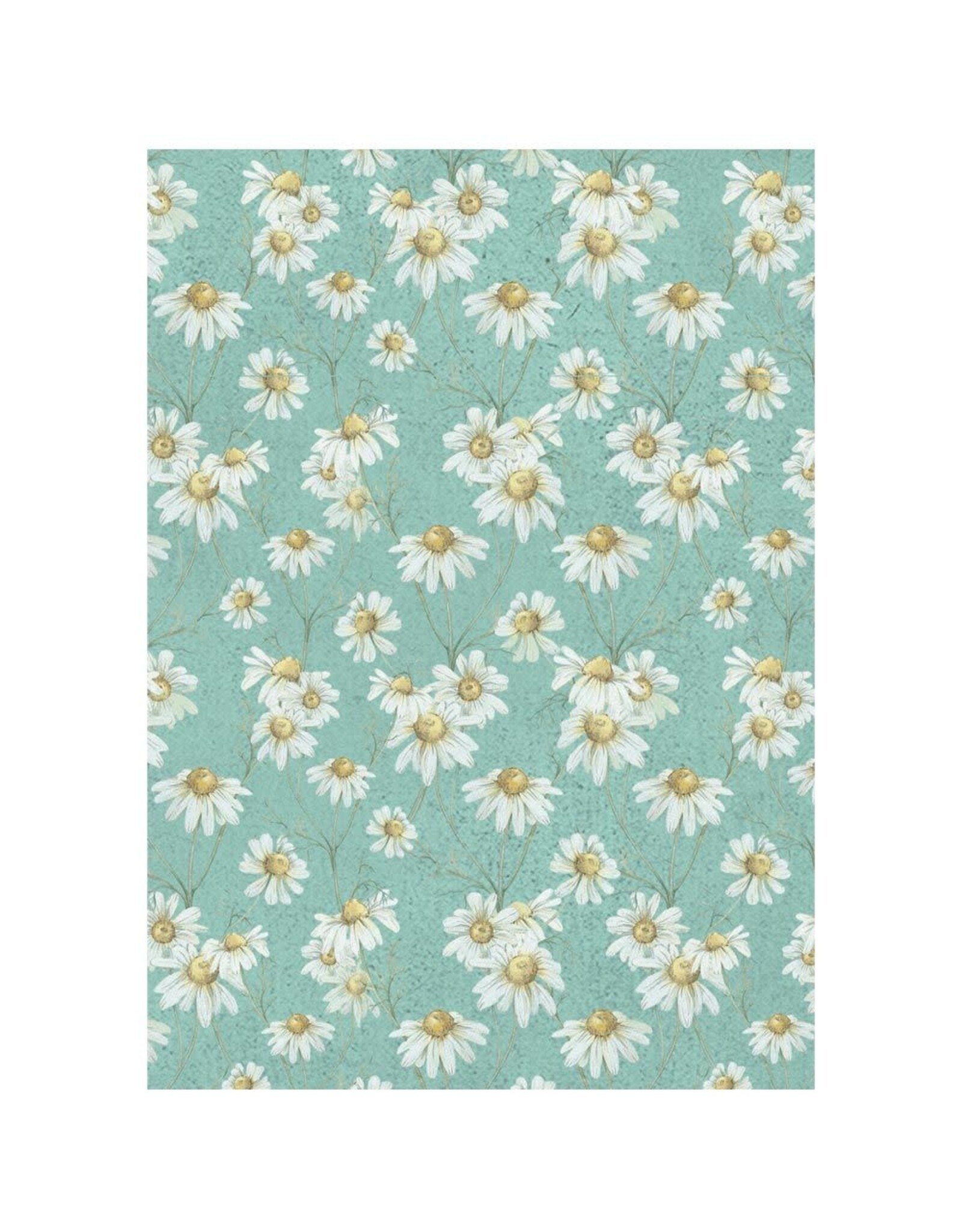 STAMPERIA STAMPERIA DAISY ART ASSORTED A6 RICE PAPER DECOUPAGE BACKGROUNDS 10.5X14.8CM 8/PK
