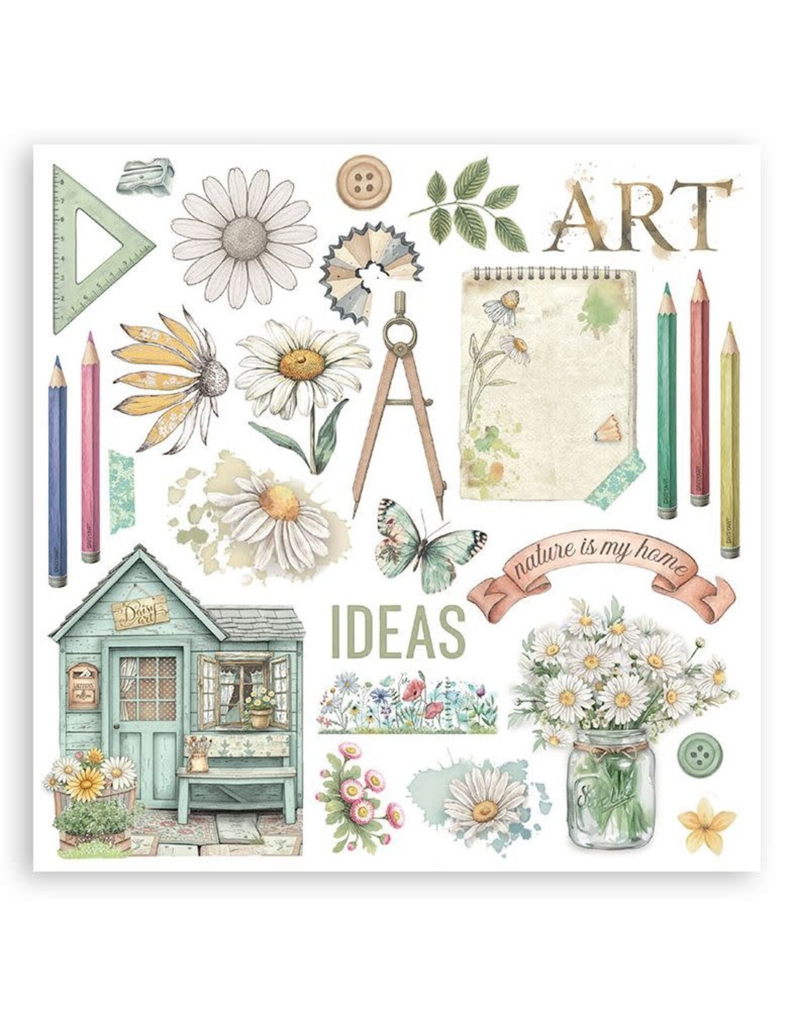 STAMPERIA STAMPERIA DAISY ART ASSORTED RUB-ONS 6/PK