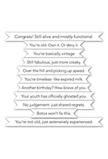 LDRS CREATIVE LDRS CREATIVE SNARKY BIRTHDAY II STACK CLEAR STAMP