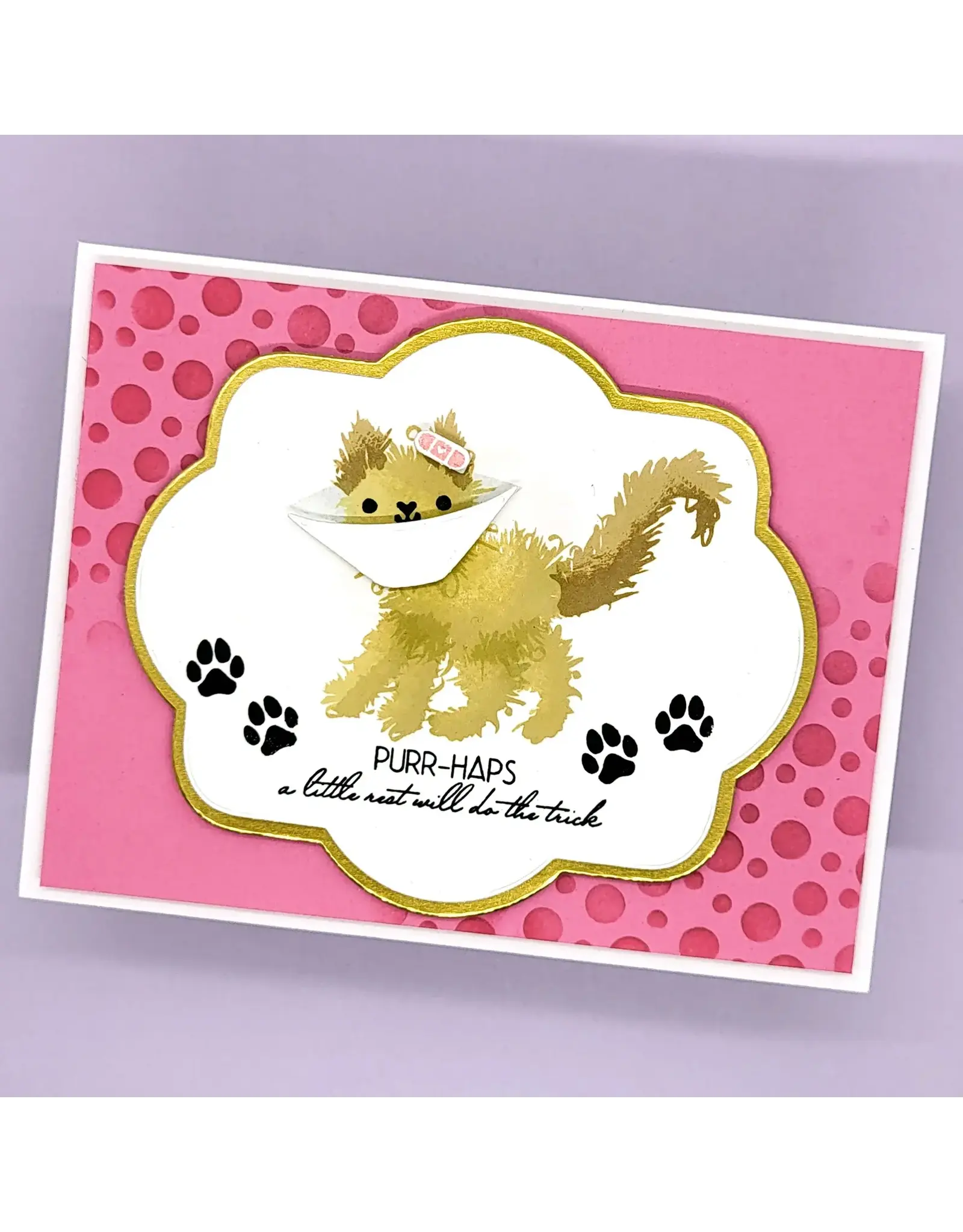 LDRS CREATIVE LDRS CREATIVE FUZZY WUZZIES CONE OF SHAME ADD-ON STAMP & DIE SET