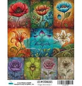 LE CHAOS CRÉATIF LE CHAOS CRÉATIF LES MYSTÉRIEUSES TOPPER 1