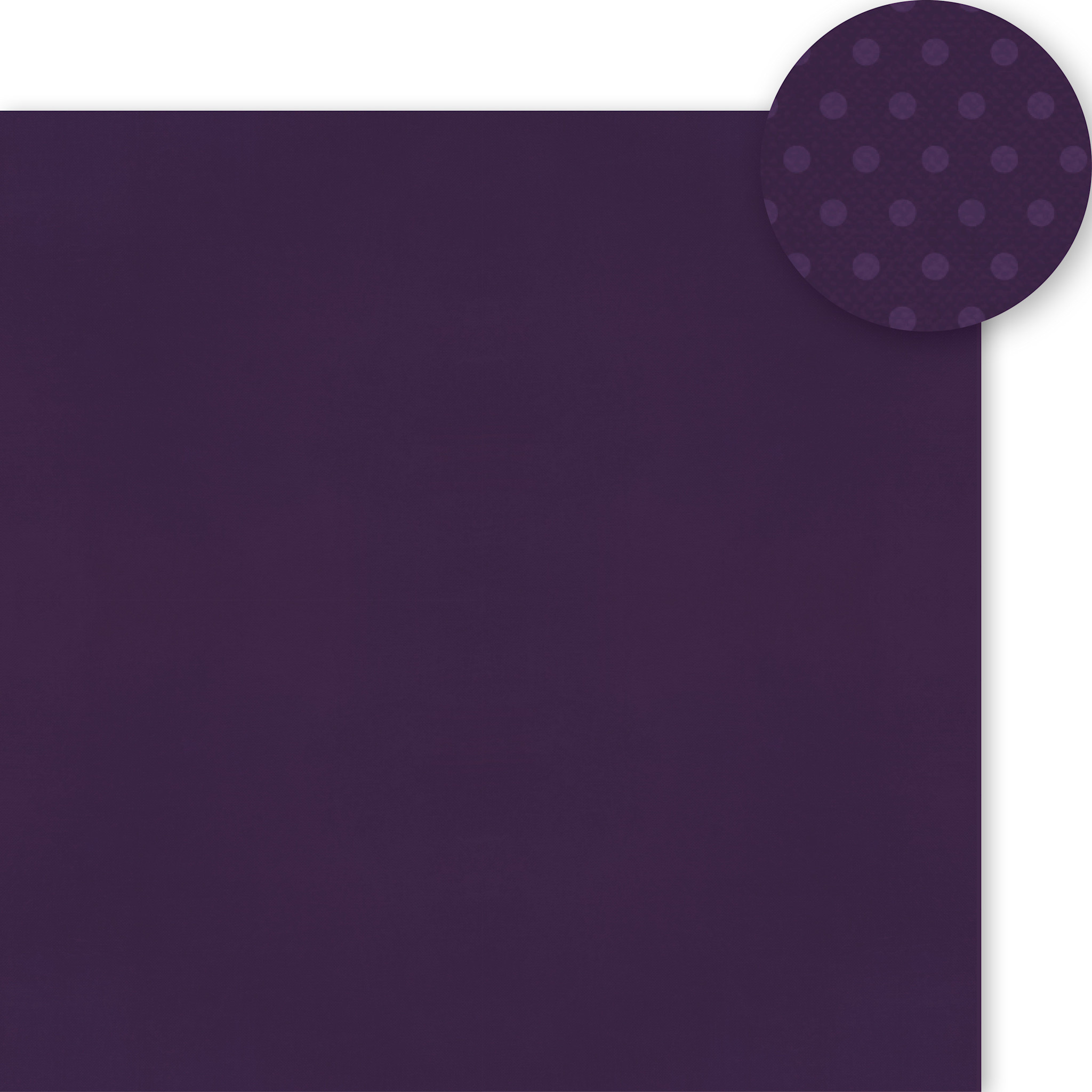 SIMPLE STORIES SIMPLE STORIES COLOR VIBE EGGPLANT CARDSTOCK 12''X12''