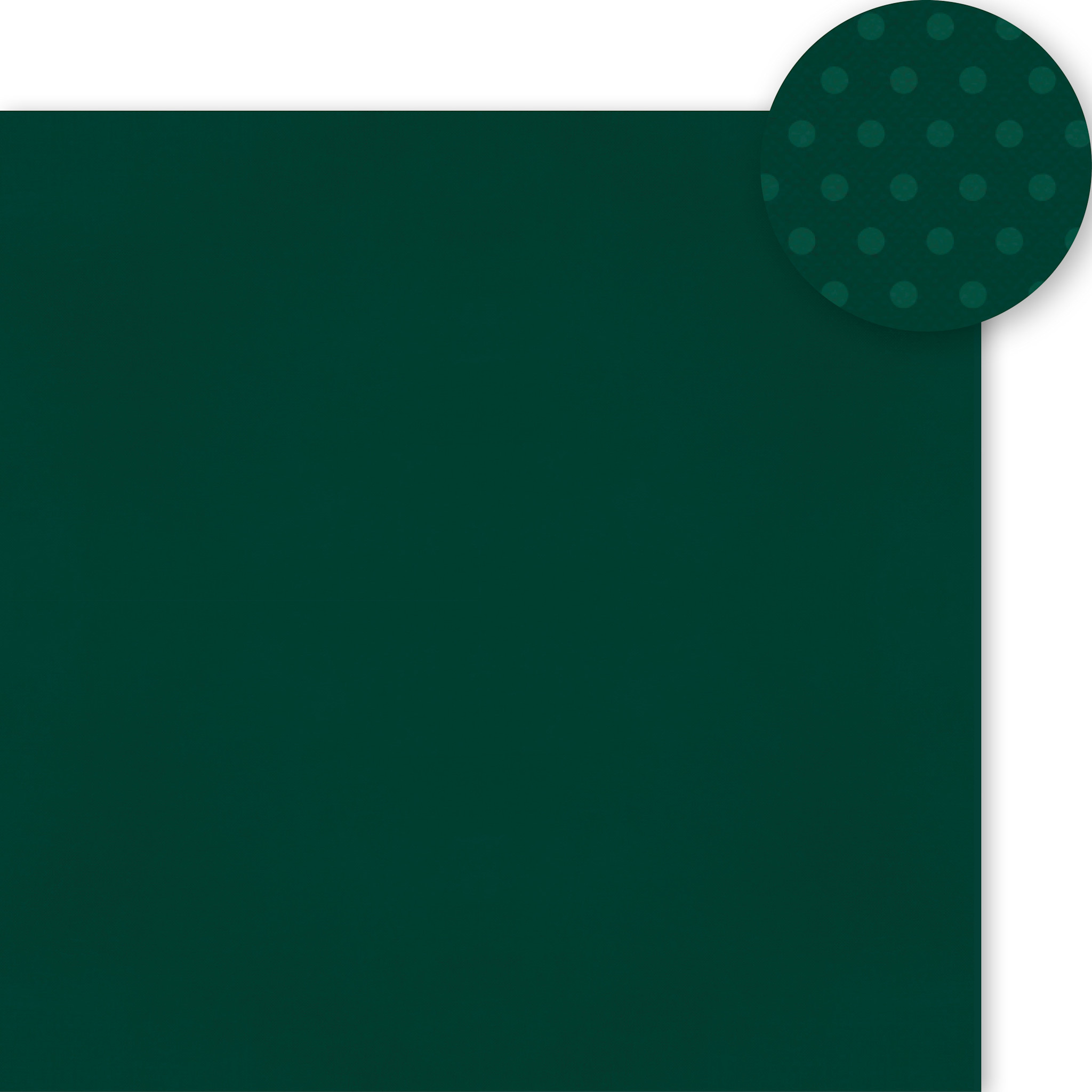 SIMPLE STORIES SIMPLE STORIES COLOR VIBE FOREST GREEN CARDSTOCK 12''X12''