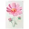 SIZZIX SIZZIX WILLOW WOLFE COSMO LAYERED STENCIL SET 4/PK
