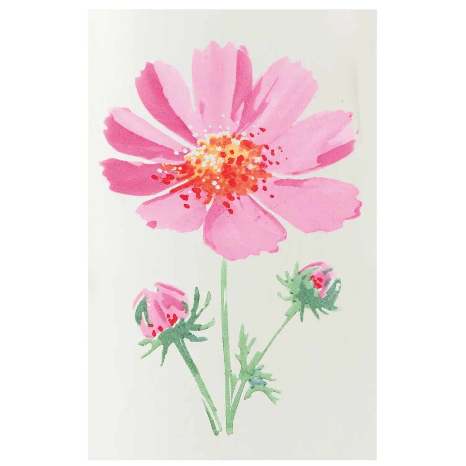 SIZZIX SIZZIX WILLOW WOLFE COSMO LAYERED STENCIL SET 4/PK