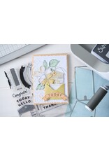 SIZZIX SIZZIX 49 AND MARKET GLOBETROTTER'S MARK FRAMELITS DIE AND CLEAR STAMP SET