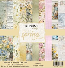 REPRINT REPRINT HELLO SPRING 12x12 PAPER PACK