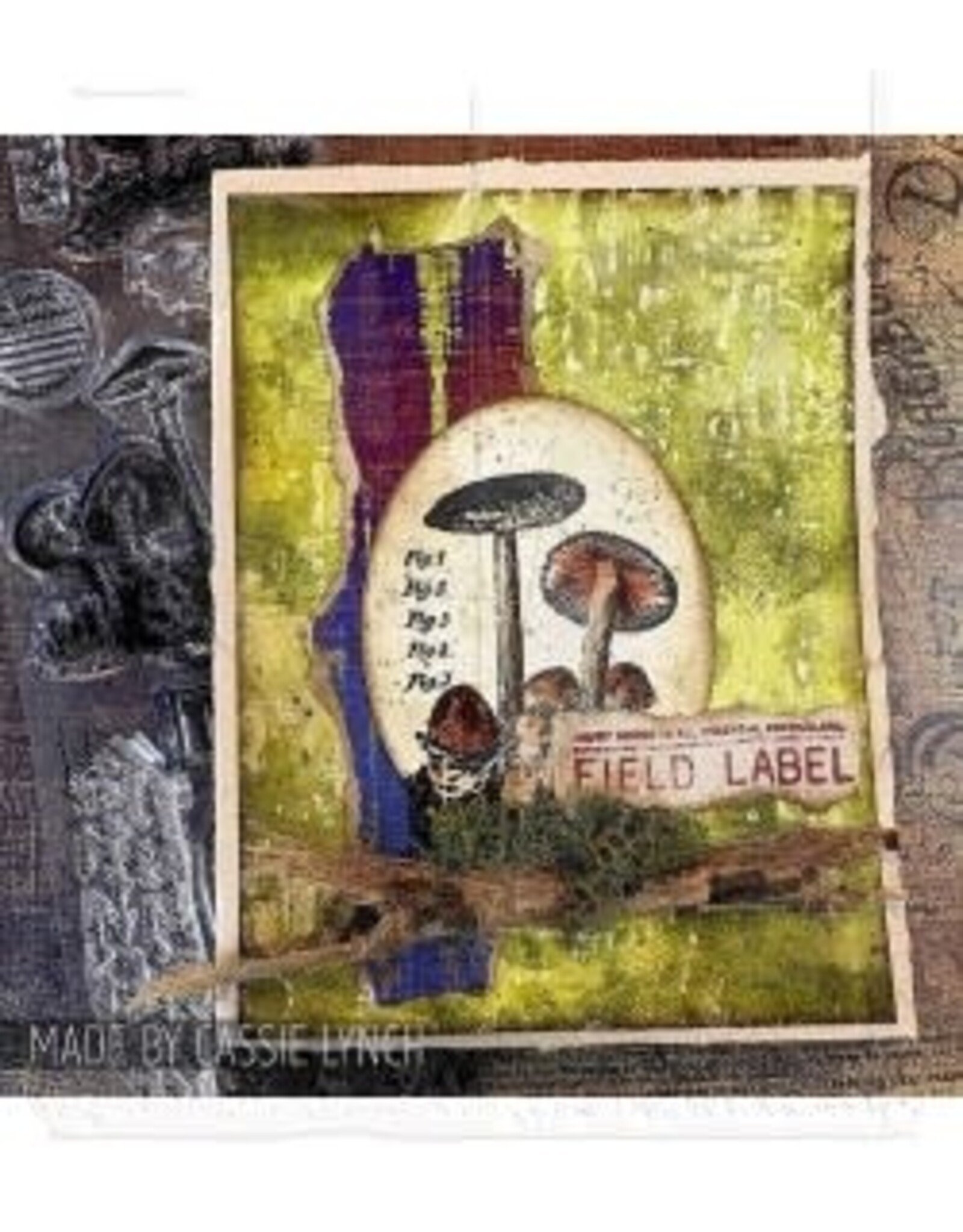 STAMPERS ANONYMOUS STAMPERS ANONYMOUS TIM HOLTZ TINY TOADSTOOLS MIXED MEDIA CLEAR STAMP SET & STENCIL