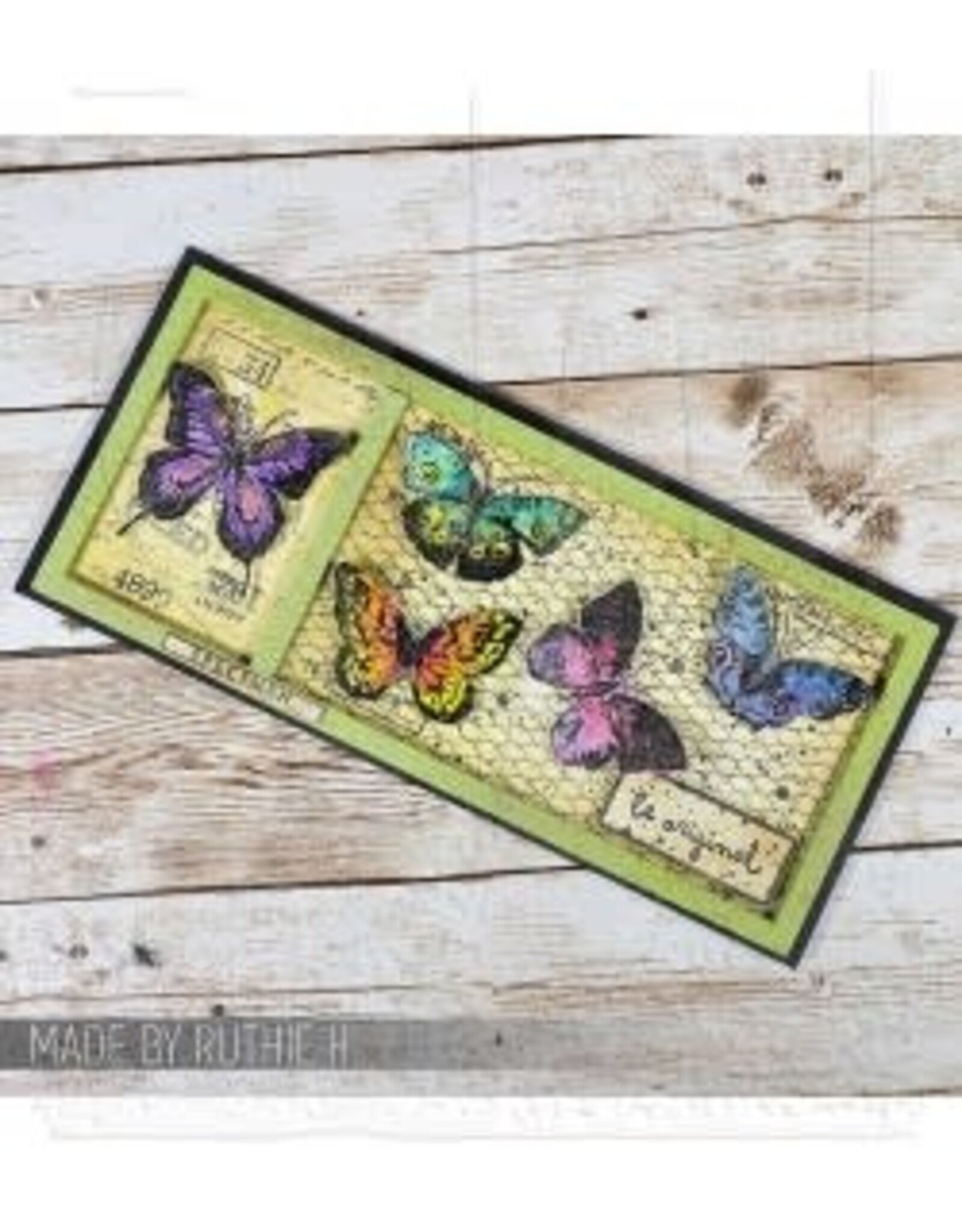 STAMPERS ANONYMOUS STAMPERS ANONYMOUS TIM HOLTZ ENTOMOLOGY MIXED MEDIA CLEAR STAMP SET & STENCIL