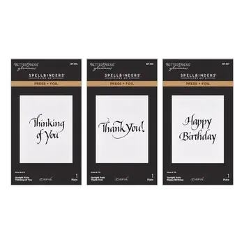 SPELLBINDERS SPELLBINDERS BETTERPRESS UPRIGHT ITALIC EVERYDAY SENTIMENTS PRESS + FOIL PLATE BUNDLE