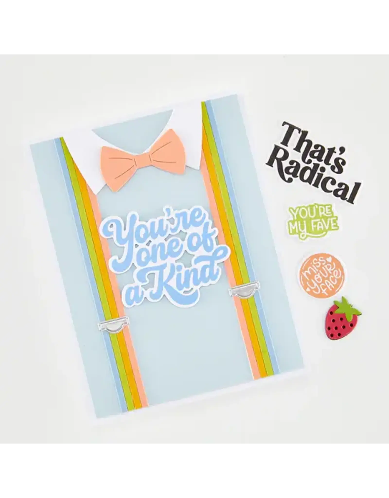 HERO ARTS HERO ARTS FRIENDS WITH FLAIR BUNDLE