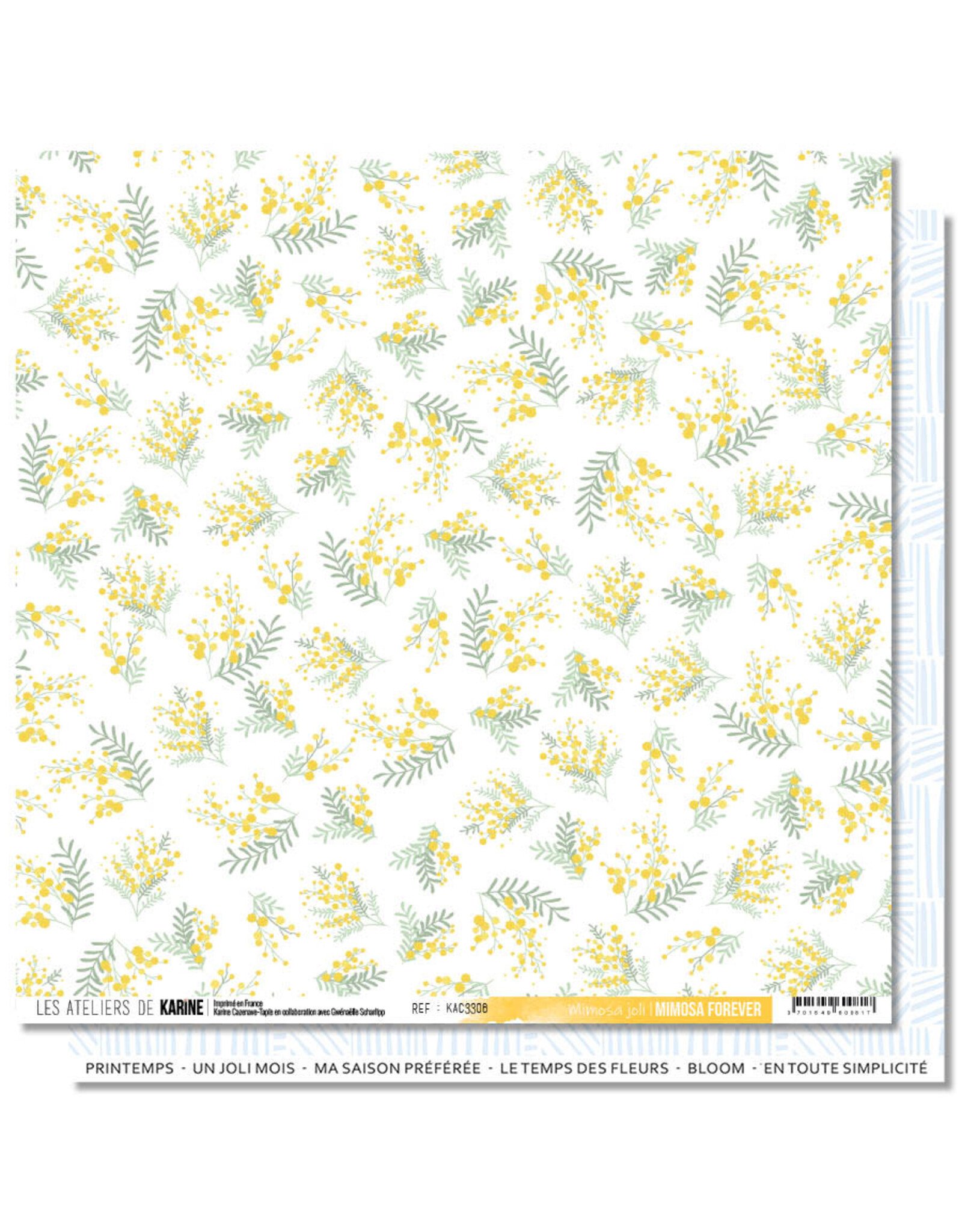 LES ATELIERS DE KARINE LES ATELIERS DE KARINE MIMOSA FOREVER 12x12 COLLECTION PACK