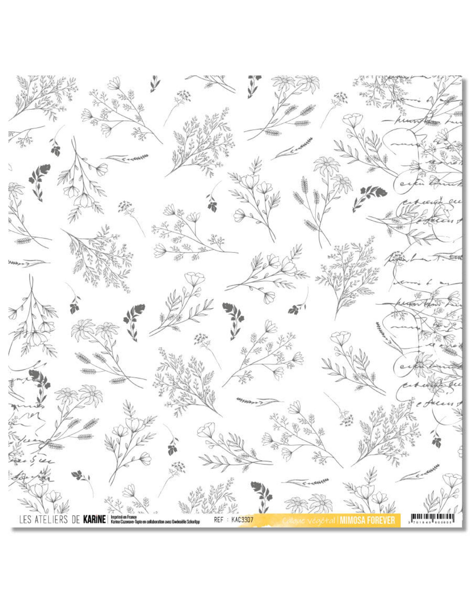 LES ATELIERS DE KARINE LES ATELIERS DE KARINE MIMOSA FOREVER 12x12 COLLECTION PACK