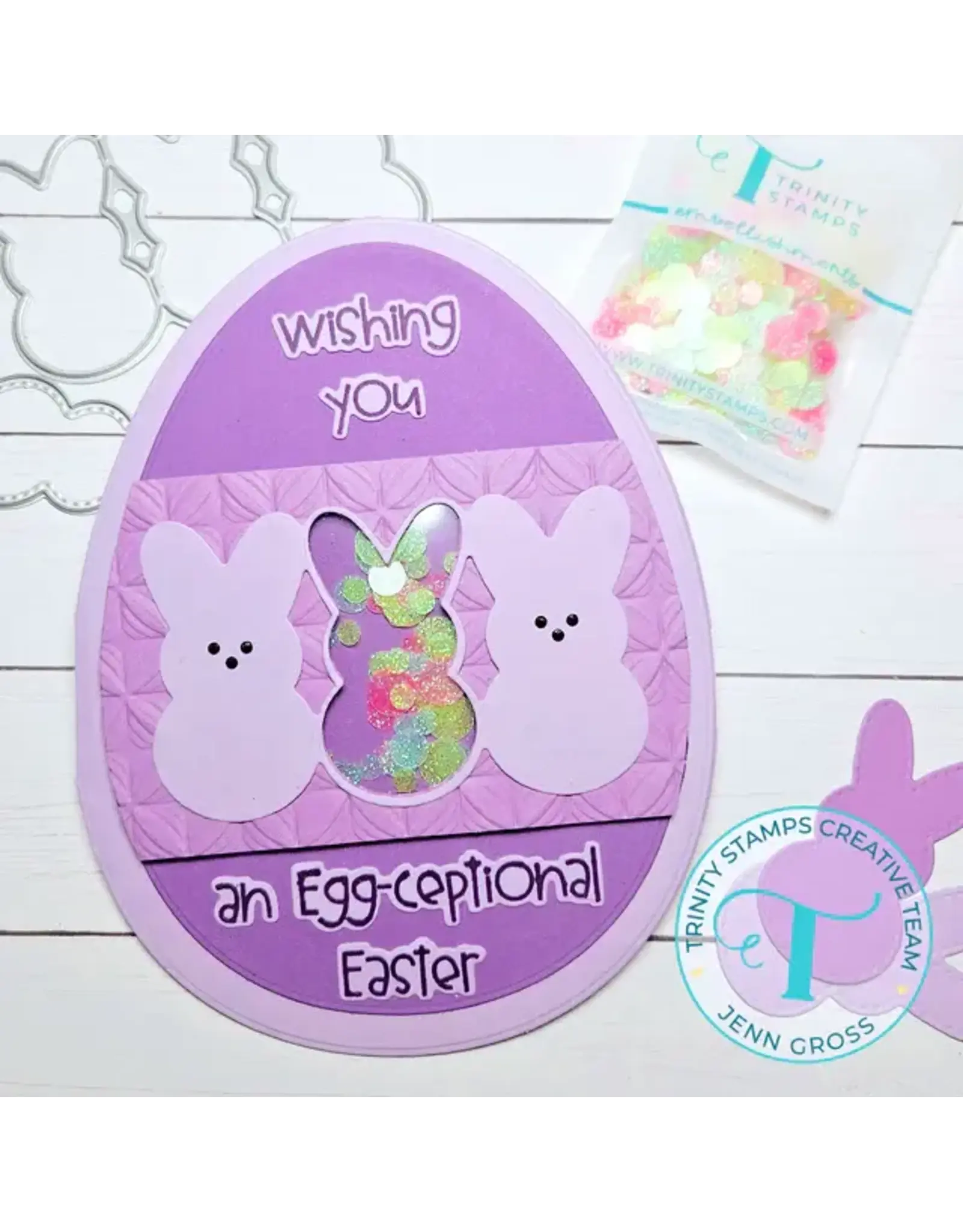 TRINITY STAMPS TRINITY STAMPS EGG-CEPTIONAL SENTIMENTS CLEAR STAMP SET